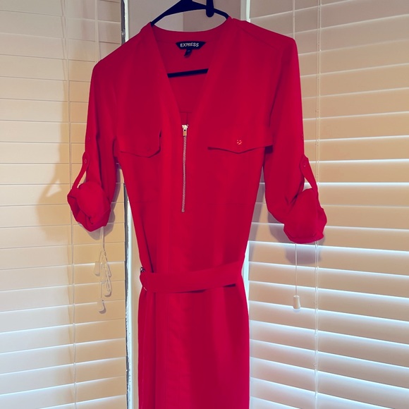 Express Red Dress - Picture 7 of 8